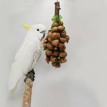 Pet SuppliesParrot ToysNut Isırma Dize Isırma ToysParrot Molar Sopa Pet Kuş Oyuncaklar Parakeet Aksesuarları Kuş Aksesuarları