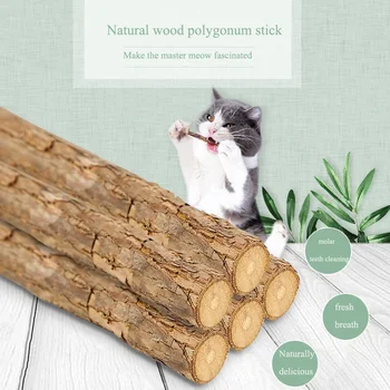 Mutian Polygonum Sticks Kedi Molar Doğal Davranır 5 Packs Pet Malzemeleri Taze Nefes Catnip Oyuncak İştah Artırmak Şeyler Accesorios