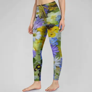 Mor Papatya Baskı Dikişsiz Tayt Bir Patlama Çiçekler Push Up Yoga Pantolon Nefes Elastik Leggins Bayan Spor Spor Tayt